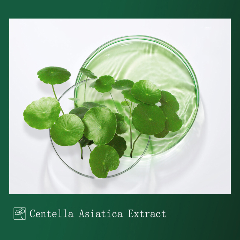 8 pz Centella maschera di fang - Dust Mask Construction recensione e prezzo